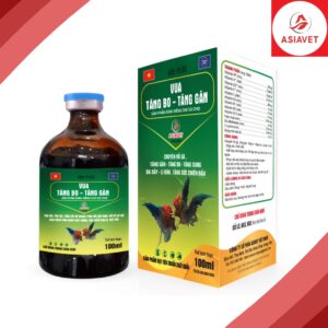 vua tăng bo tăng gân